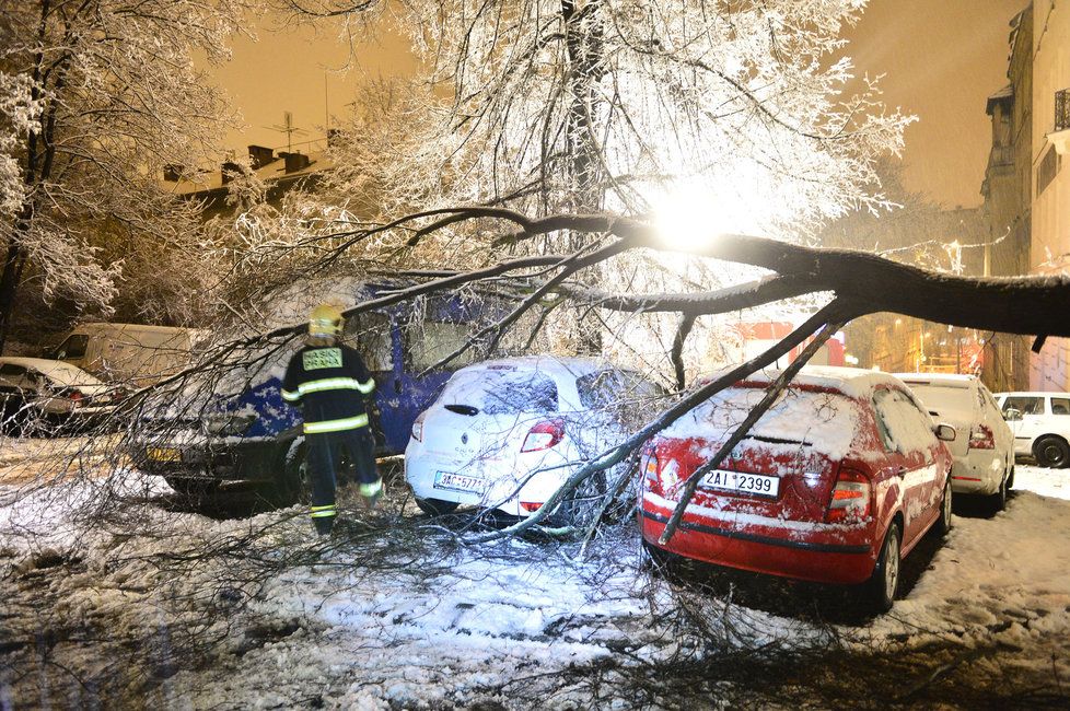 Dopravu na řadě míst Česka komplikují popadané stromy. Na silnicích se tvoří ledové jazyky, náledí a závěje