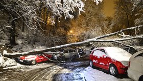 Dopravu na řadě míst Česka komplikují popadané stromy. Na silnicích se tvoří ledové jazyky, náledí a závěje.