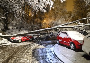 Dopravu na řadě míst Česka komplikují popadané stromy. Na silnicích se tvoří ledové jazyky, náledí a závěje.