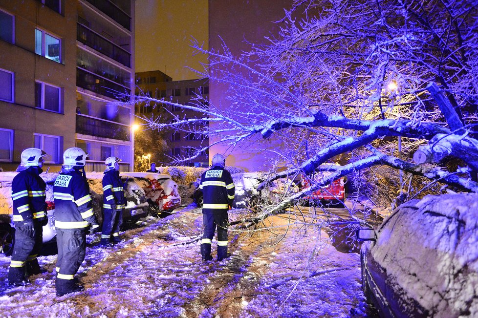 Dopravu na řadě míst Česka komplikují popadané stromy. Na silnicích se tvoří ledové jazyky, náledí a závěje