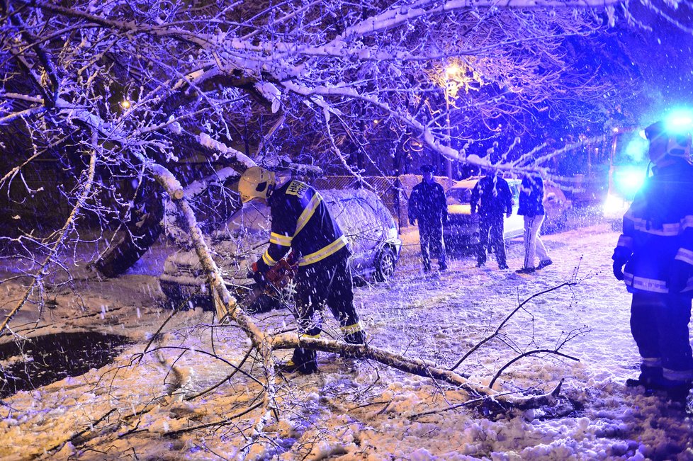 Dopravu na řadě míst Česka komplikují popadané stromy. Na silnicích se tvoří ledové jazyky, náledí a závěje