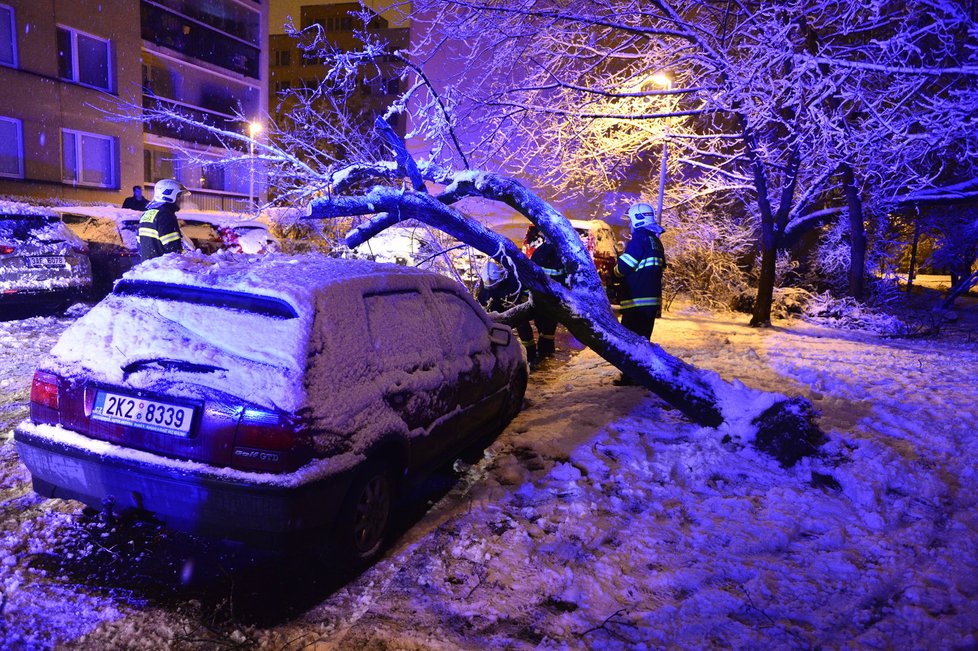 Dopravu na řadě míst Česka komplikují popadané stromy. Na silnicích se tvoří ledové jazyky, náledí a závěje