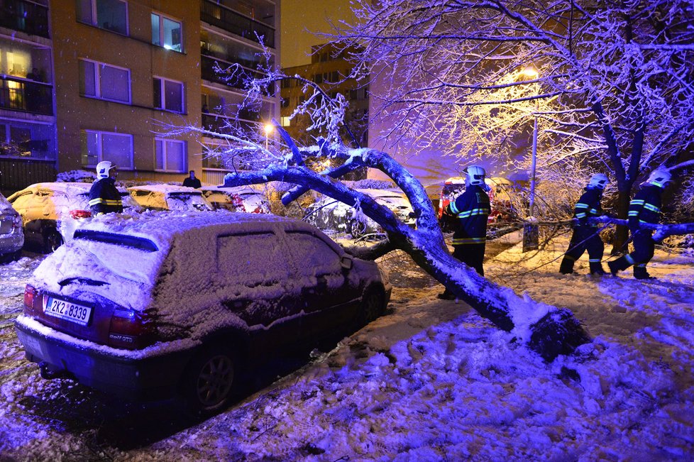 Dopravu na řadě míst Česka komplikují popadané stromy. Na silnicích se tvoří ledové jazyky, náledí a závěje.