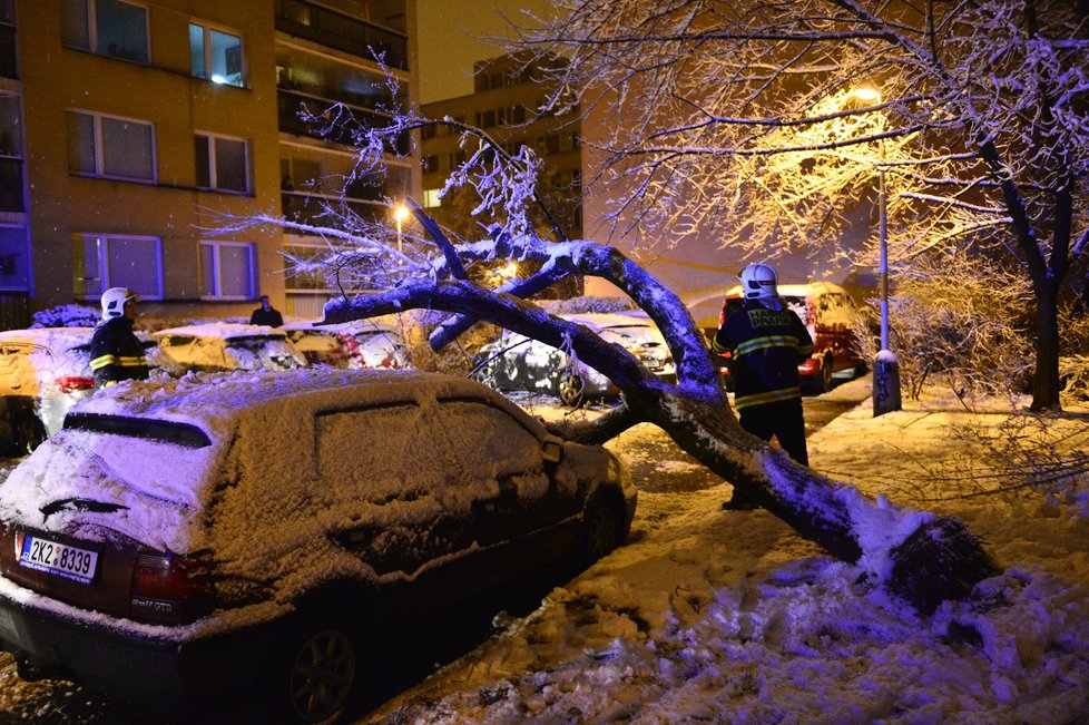 Dopravu na řadě míst Česka komplikují popadané stromy. Na silnicích se tvoří ledové jazyky, náledí a závěje.