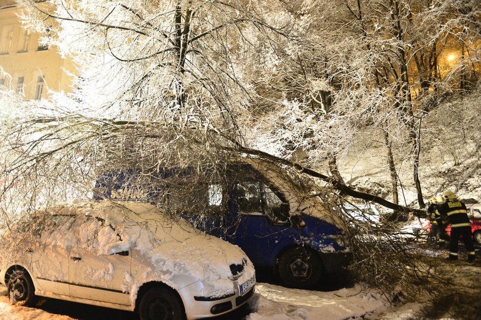 Dopravu na řadě míst Česka komplikují popadané stromy. Na silnicích se tvoří ledové jazyky, náledí a závěje