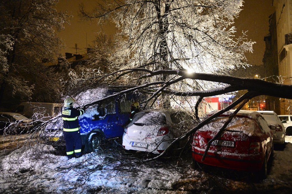 Dopravu na řadě míst Česka komplikují popadané stromy. Na silnicích se tvoří ledové jazyky, náledí a závěje.