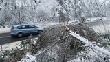 Sněhová kalamita ustupuje, bez proudu už jsou jen stovky domácností