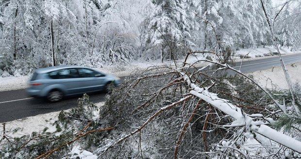 Sněhová nadílka v Česku: Hrozí námraza a domácnosti jsou dále bez proudu