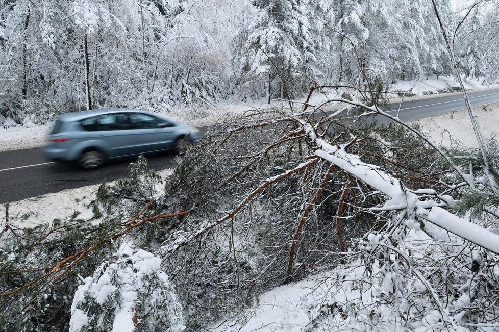 Nedávná sněhová kalamita komplikovala v Česku nejen dopravu.