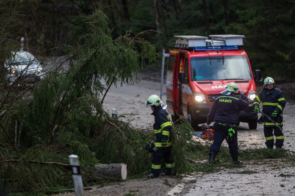 V Česku řádil vichr, zkomplikoval dopravu (11. 3.)