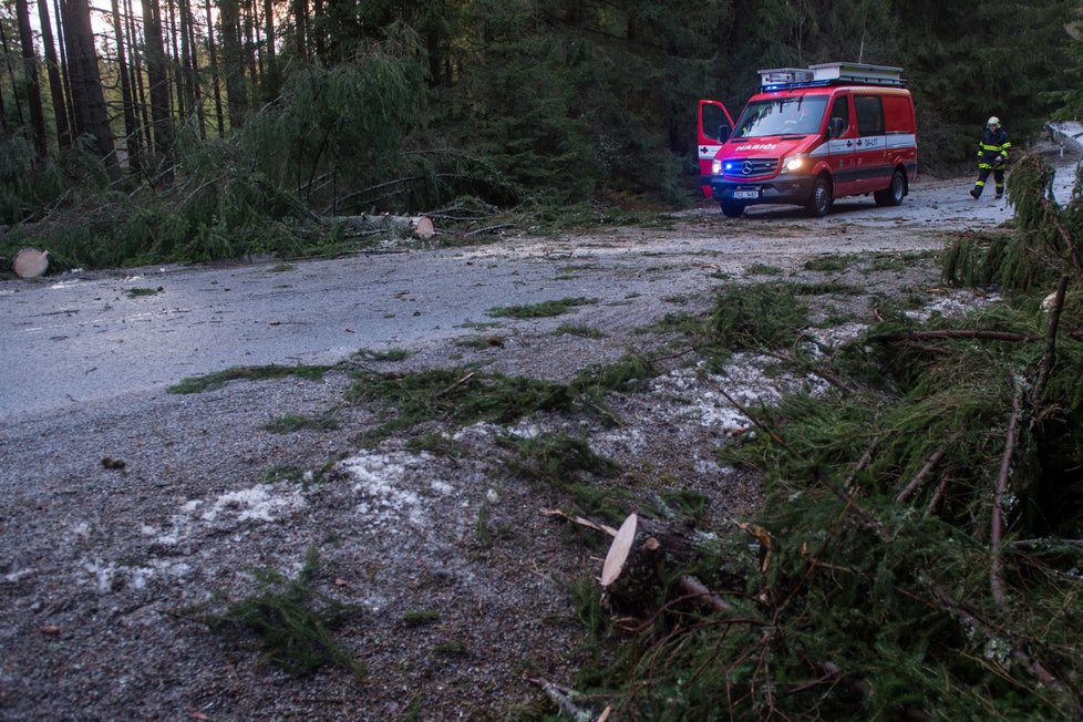 V Česku řádil vichr, zkomplikoval dopravu (11. 3.)