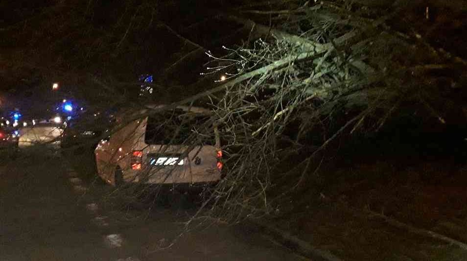 V Česku řádil vichr, zkomplikoval dopravu (11. 3.)