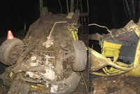 Vážná dopravní nehoda u Mariánských Lázní: Cizinci, který řídil opilý, hrozí až osm let vězení