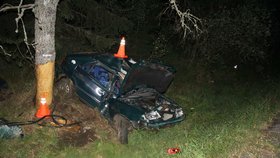 Při nehodě u Houžné zemřel spolujezdec, řidič byl opilý