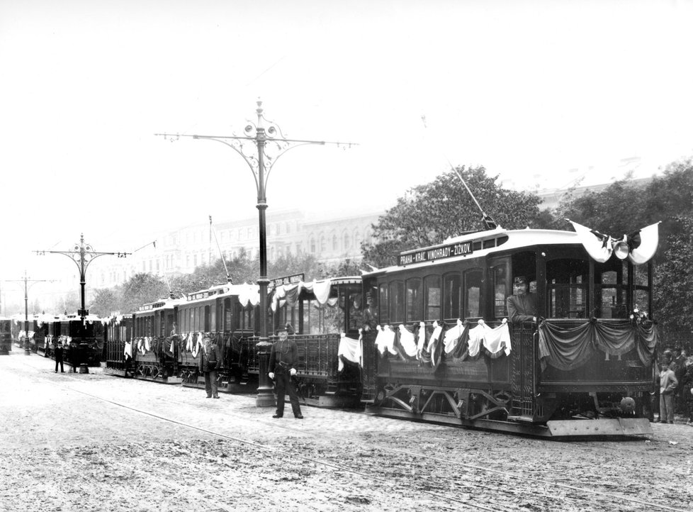 Dopravní podnik založili před 120 lety.