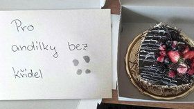 Velké překvapení čekalo nedávno na brněnské hasiče ze stanice Lidická. Neznámý dárce jim poslal dort ve tvaru srdce s dovětkem: Pro andílky bez křídel.