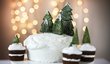 Vánoční období nemusí být jen ve znamení cukroví. Upečte dort ve vánočním stylu, se kterým zazáříte.