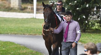 Koňská hvězda s bodyguardem a letadlem: favorit v Chuchli propadl