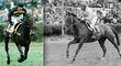 Detailní příběhy koňských hrdinů Velké pardubické. Jak dožili šampioni?