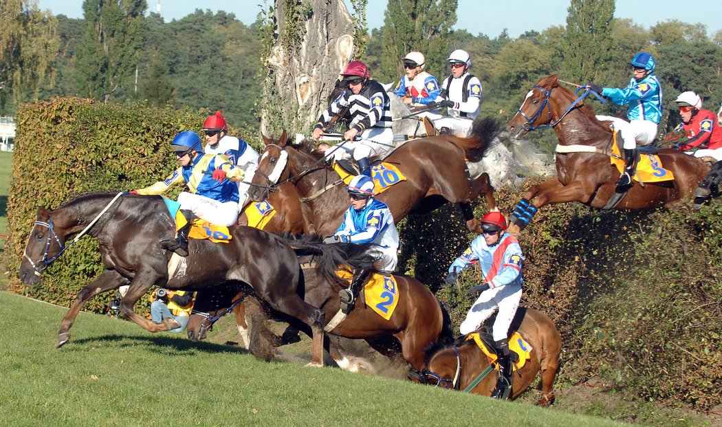 V roce 2007 skončila Velká pardubická pro Maskula (číslo 2) po pádu na Taxisově příkopu