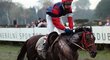 Pavel Složil v sedle Marketplace na Velké pardubické v roce 1997 Pavel Složil v sedle Marketplace na Velké pardubické v roce 1997