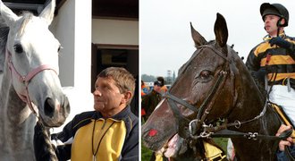 Osudy koňských šampionů: Sixteen unikla smrti, Peruán běhá s hříbaty