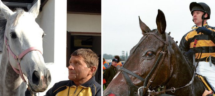 Do důchodu už zamířili dva bývalí koňští šampioni z Velké pardubické - Sixteen i Peruán.