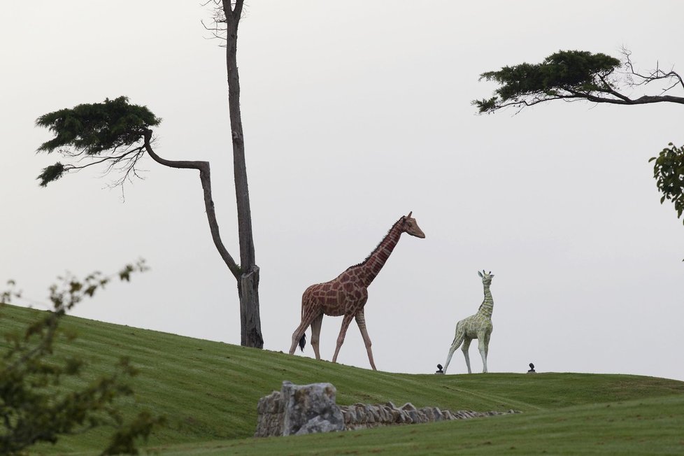 Na panství Kima Schmitze se však našly i zajímavé rarity - třeba nehybné safari, zdobící jeho zahradu