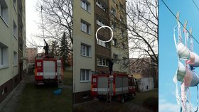 Dobrovolní hasiči z Doubravky odstraňovali spodní prádlo ze stromu