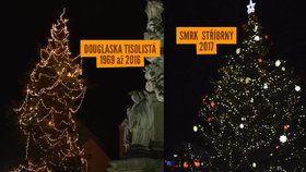 Douglaska byla v Hodoníně symbolem Vánoc dlouhá desetiletí, radnice ji chce nyní pokácet. Už letos se novým vánočním stromem stal smrk.