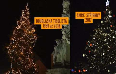 Hodonín přišel o Vánoce! Lidé jsou v šoku: Strom, který tu svítil 50 let, chtějí pokácet