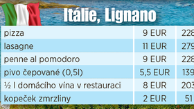 Ceny v zahraničí