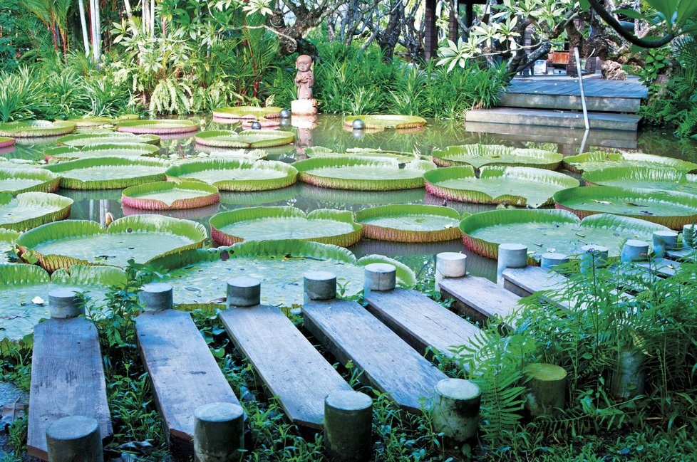 Mauritius: Botanická zahrada Pamplemousses