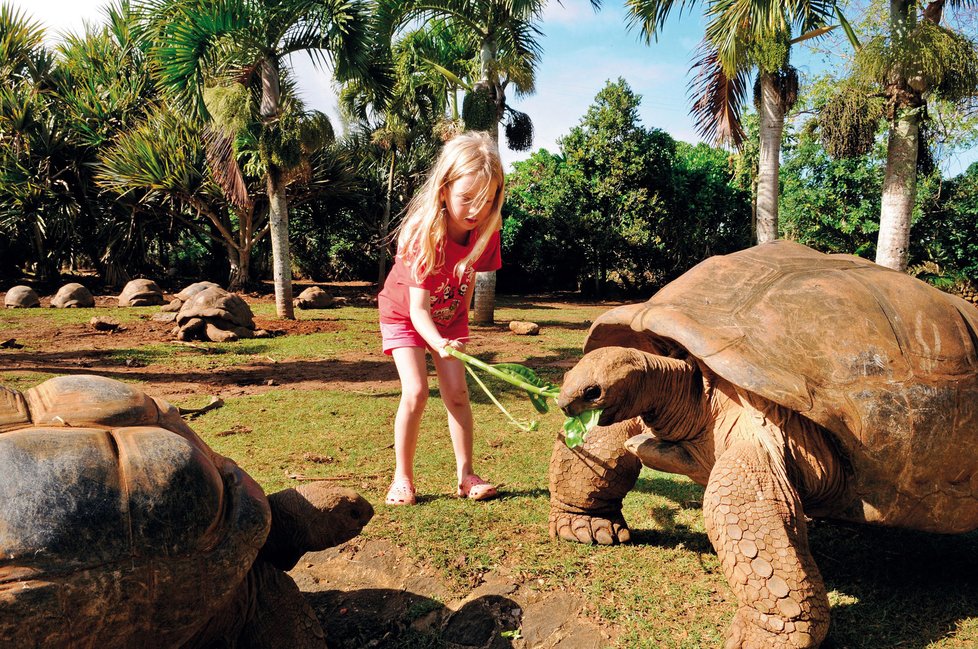 Obří želvy jsou na Mauritiu lákadlem nejen pro děti.