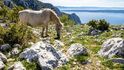 Přírodní park Biokovo patří k nejkrásnějším místům na Jadranu Přírodní park Biokovo patří k nejkrásnějším místům na Jadranu