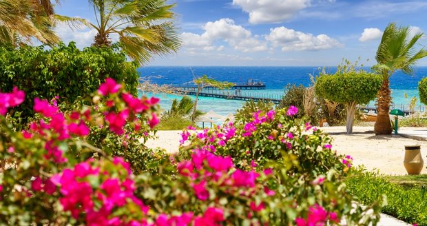Marsa Alam, nebo Hurghada – průvodce pro náročné cestovatele 2026