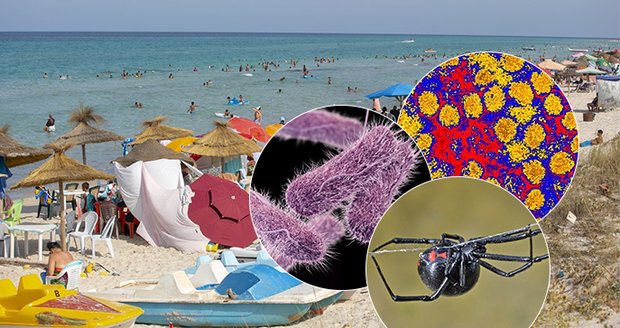 V dovolenkových rájích číhají smrtelné nemoci a jedovatá havěť: Expert radí, na co si dát pozor