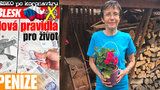 Češi o dovolených po krizi: Jana (62) svůj první let oplakala, David „nechá“ peníze cestovce!