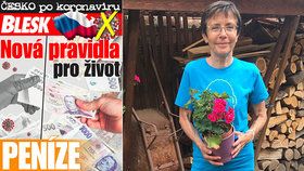 Češi o dovolených po krizi: Jana (62) svůj první let oplakala, David „nechá“ peníze cestovce!