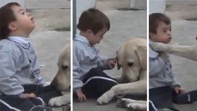 Chlapec s Downovým syndromem, který si nechce hrát se svým psem, ale ten snahu přesto nevzdává, dojal svět