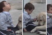 Nejoddanější psí kamarád a chlapec s Downovým syndromem dojali svět
