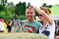 Pražané žasli nad balíky slámy. Dožínky na Letné představily vesnický život