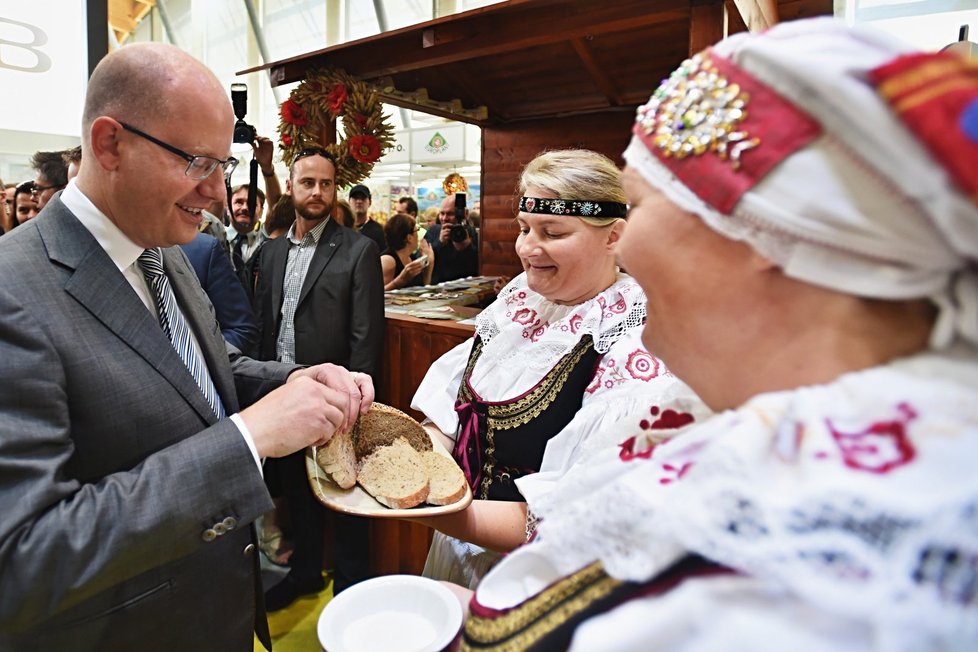 Politici zahájili Národní dožínky, mluvili o podpoře zemědělců.