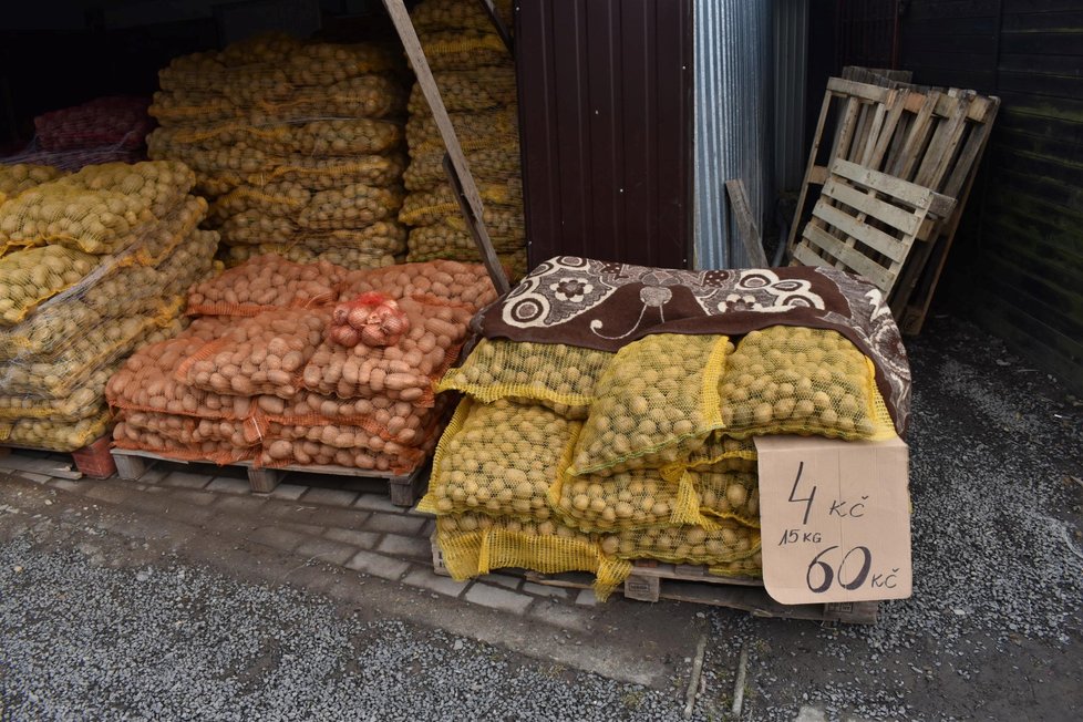Ceny některých potravin šly rapidně dolů. Cena brambor je velmi příznivá.