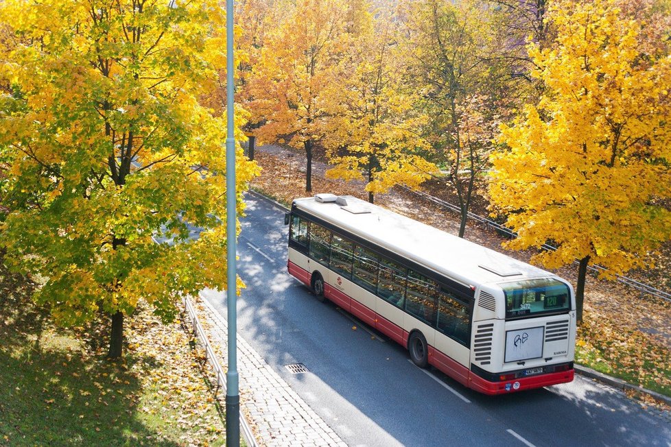 Nové dopravní slevy pro studenty a seniory bude možné uplatit i na linkách MHD, které vyjíždějí z měst