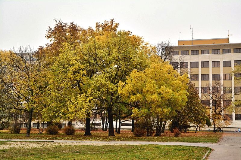 Drakiáda na Letné přilákala rodiny s dětmi. Ratolesti si více užívaly foukání bublin.