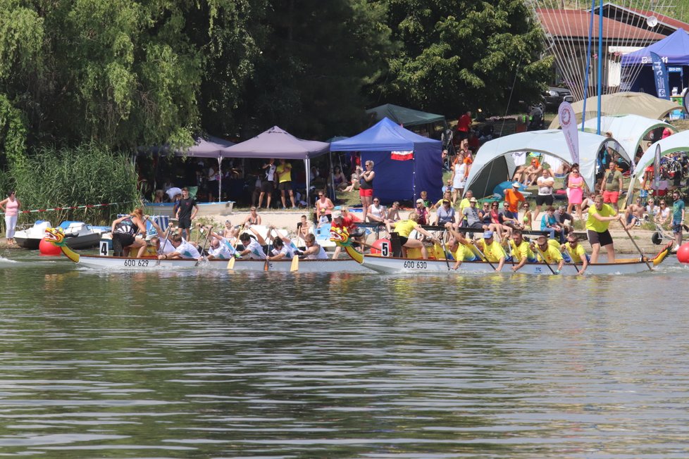 Rekordních 65 posádek se zúčastnilo 13. ročníku Pálavského festivalu dračích lodí na Mušovském jezeru.