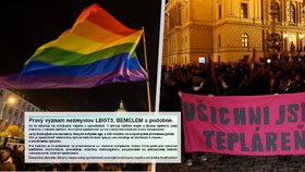 Další nenávist proti LGBTQ+ komunitě: Slovenské hračkářství si dalo na stránky šílený homofobní text