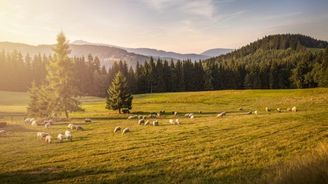 Zahraniční turisté se vracejí do Česka, meziročně se jich zde ubytovalo téměř dvakrát tolik