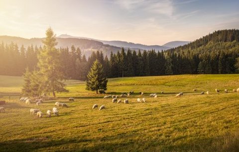 Navštivte finalisty soutěže DestinaCZe 2015